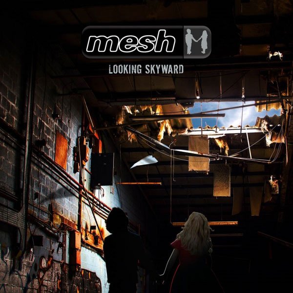 mesh_looking_skyward