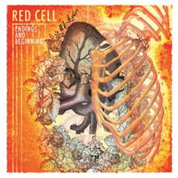 red_cell_endings_and_beginnings