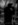 Henric de la Cour-6542
