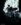 Ladytron-0223 copy